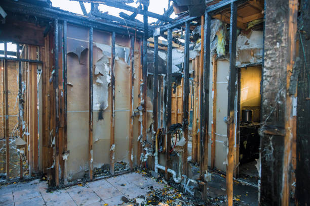 Professional Soot Cleanup technician working in Elk River, MN